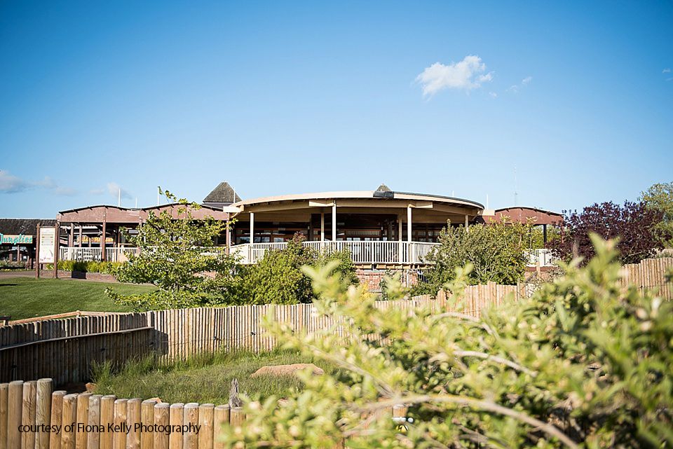 Gallery Item 13 for The Safari Lodge at Woburn Safari Park