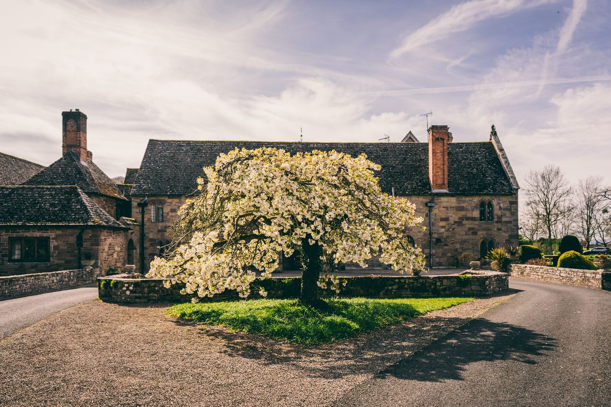 Gallery Item 2 for Brinsop Court Estate