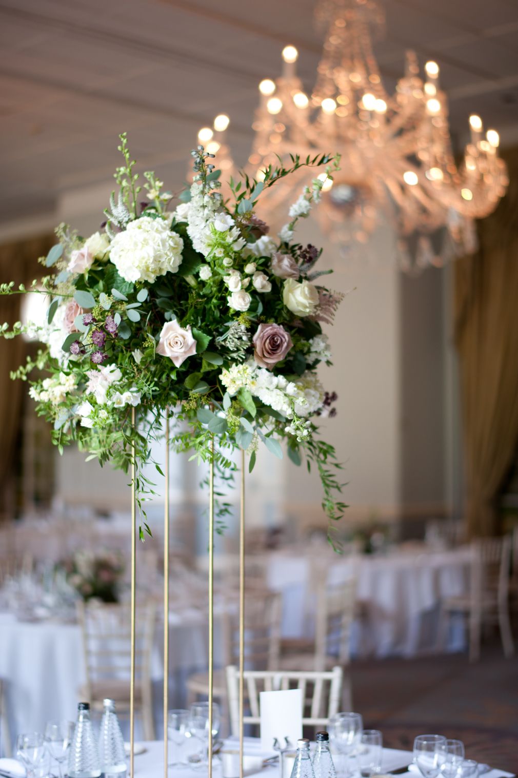 Gallery Item 4 for Stapleford Park