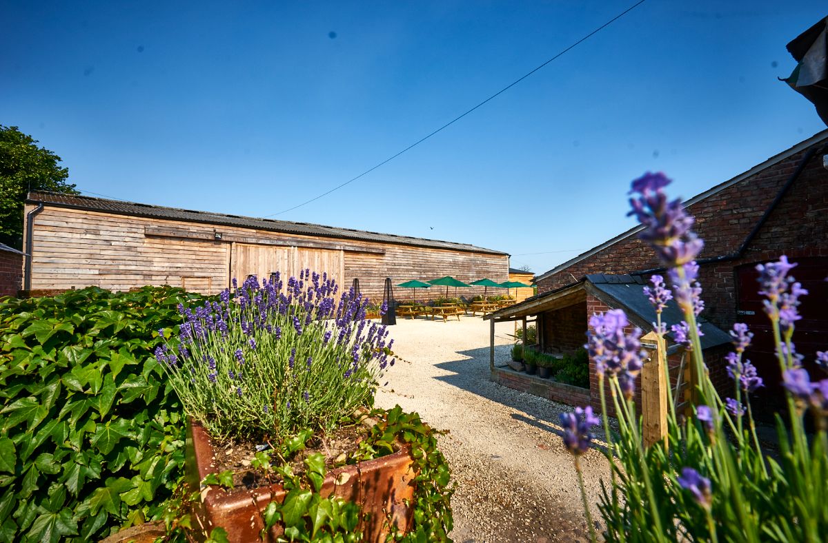Gallery Item 5 for Stock Farm Wedding and Events Barn