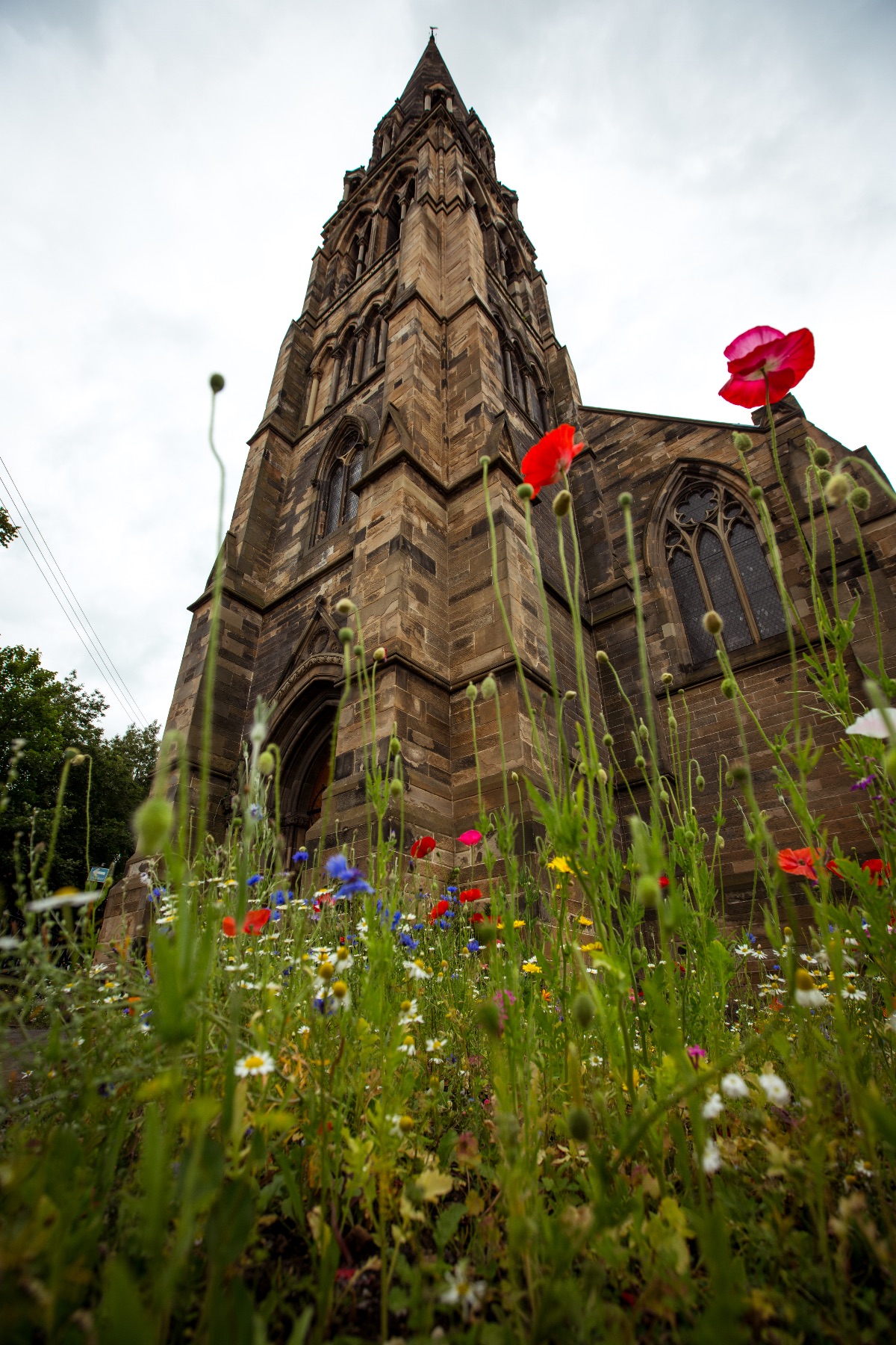 Gallery Item 2 for Cottiers