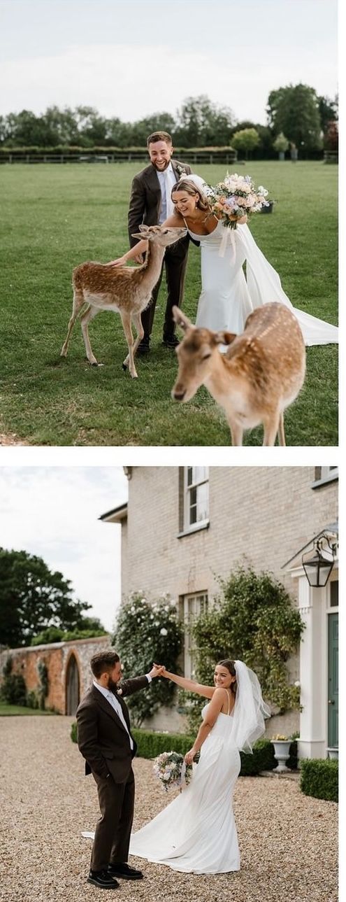Gallery Item 6 for Hill Farm Massingham