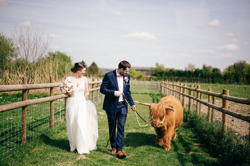 Gallery Item 5 for Cholderton Rare Breeds Farm - Vine View Barn
