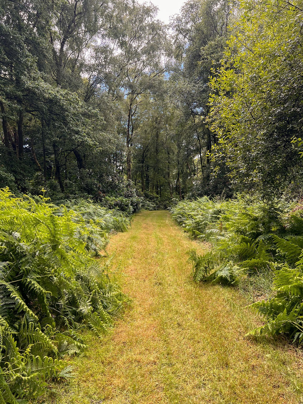 Gallery Item 6 for Hillfort Woodland Weddings