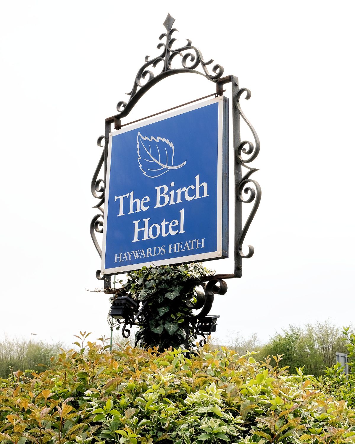 Gallery Item 5 for THE BIRCH HOTEL